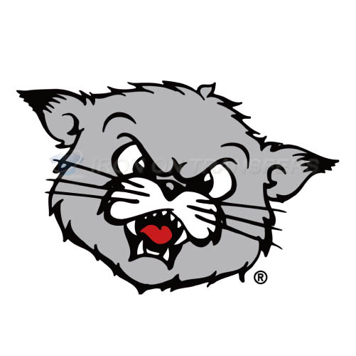 Cincinnati Bearcats logo T-shirts Iron On Transfers N4143